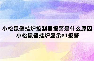 小松鼠壁挂炉控制器报警是什么原因 小松鼠壁挂炉显示e1报警